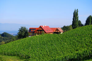 Weingut-Winzerzimmer-Zimmer-Unterkunft-Gaestezimmer-Suedsteiermark-Leutschach-Weinstrasse-Weingarten-Landschaft-Natur-Urlaub-Ferien-Wein-Weinberg-Kurzurlaub-Wochenende-Wandern
