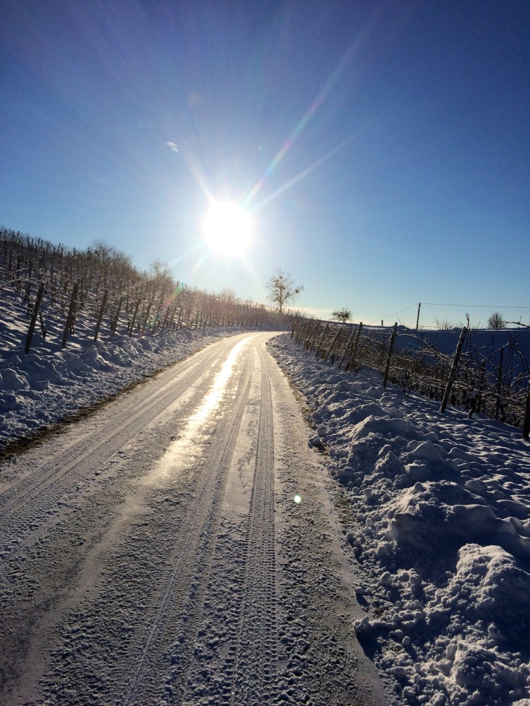 Schnee-Winter-Weinberg-Weingarten-Suedsteiermark-Steiermark-Weingut-Winzerzimmer-Rothschaedl