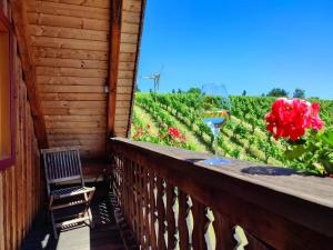 Balkon-Zimmer-Klapotetz-Aussicht-Weingarten-Weinberge-Gästezimmer-Hotel-Unterkunft-Südsteiermark-Weingut